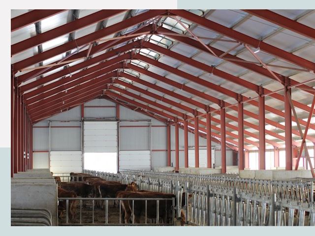 Строительство коровников в Ростове