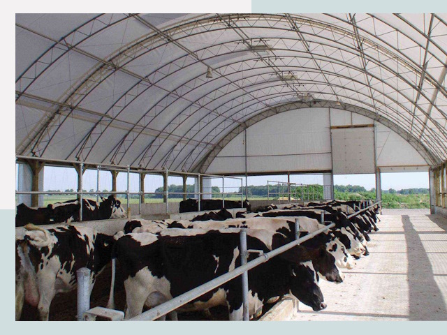 Тентовые коровники в Ростове